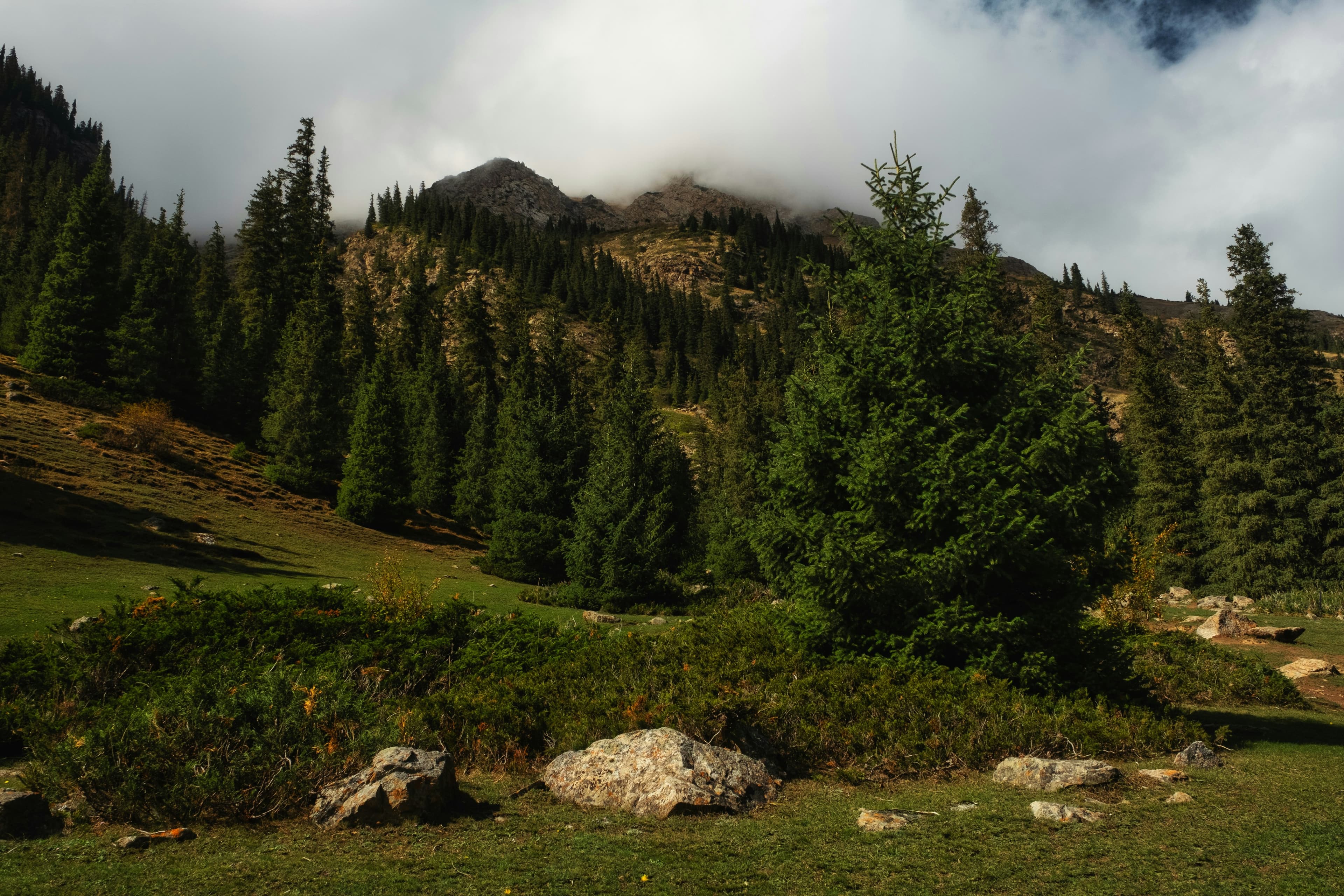 Centralia Travel Agency about us