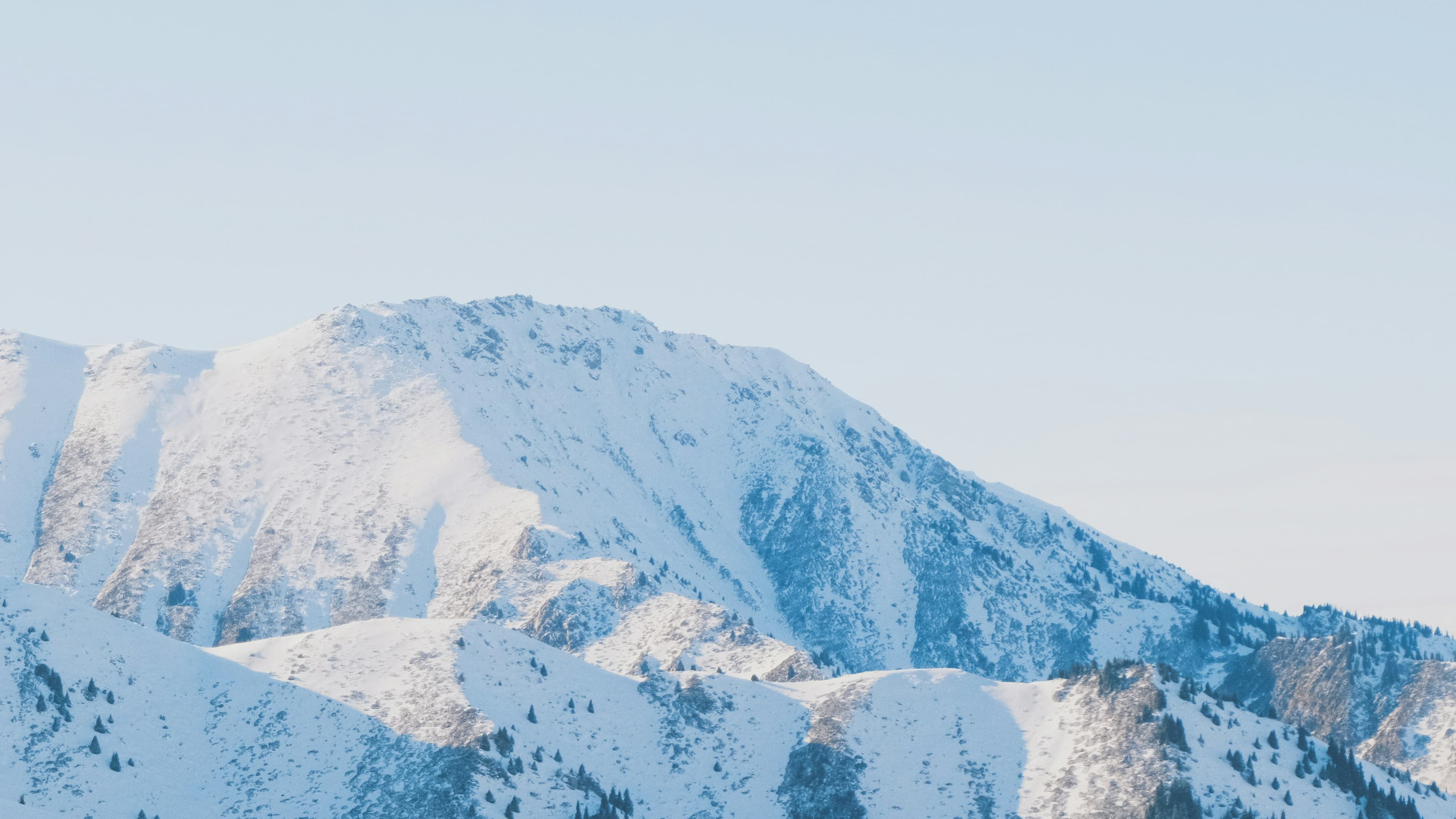 Centralia Travel Agency about us