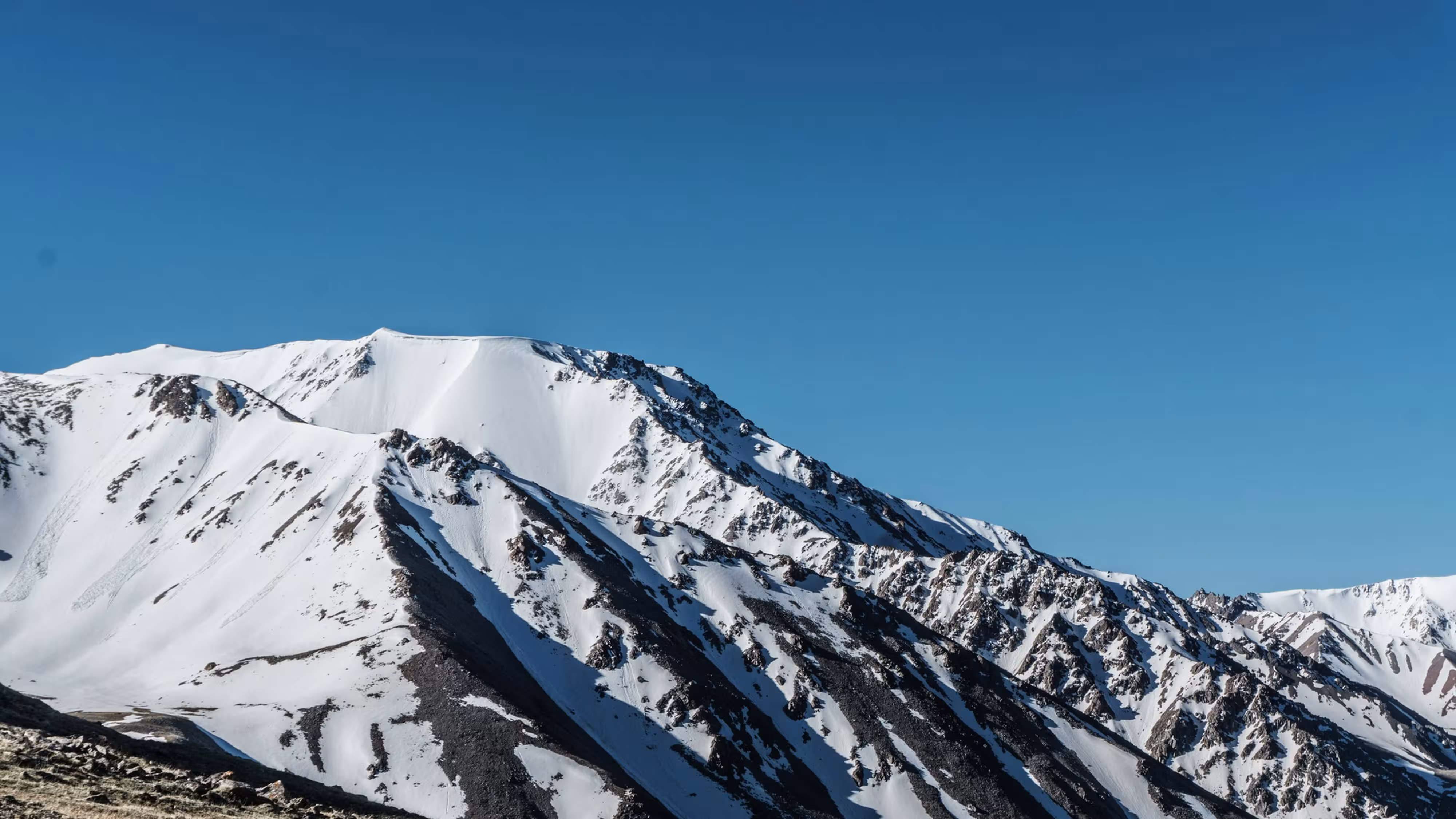 Centralia Travel Services